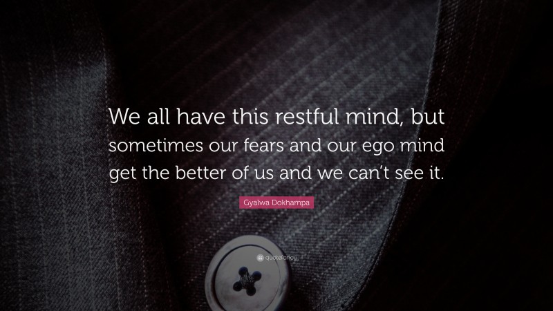Gyalwa Dokhampa Quote: “We all have this restful mind, but sometimes our fears and our ego mind get the better of us and we can’t see it.”