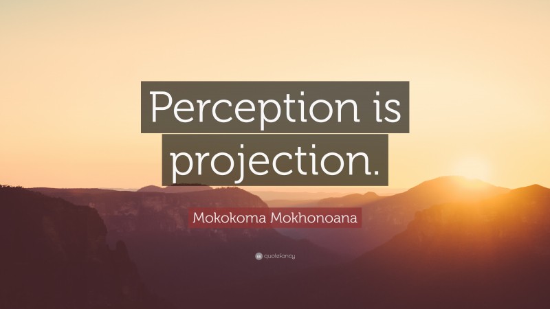 Mokokoma Mokhonoana Quote: “Perception is projection.”