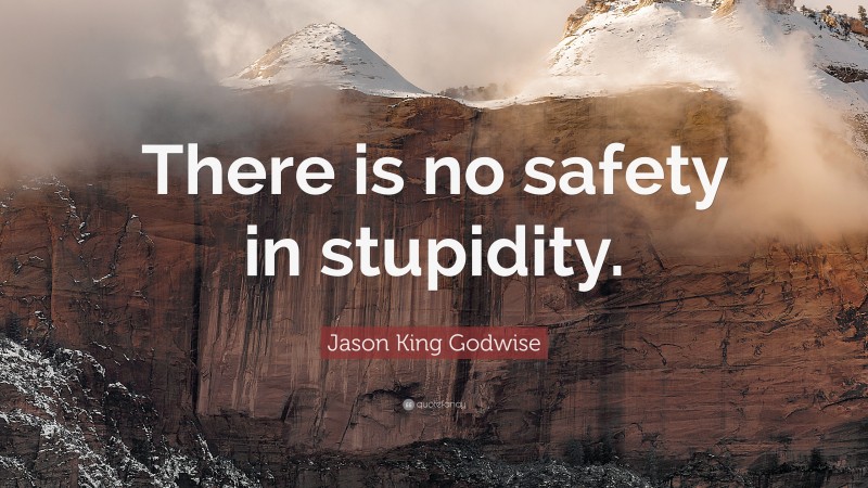 Jason King Godwise Quote: “There is no safety in stupidity.”