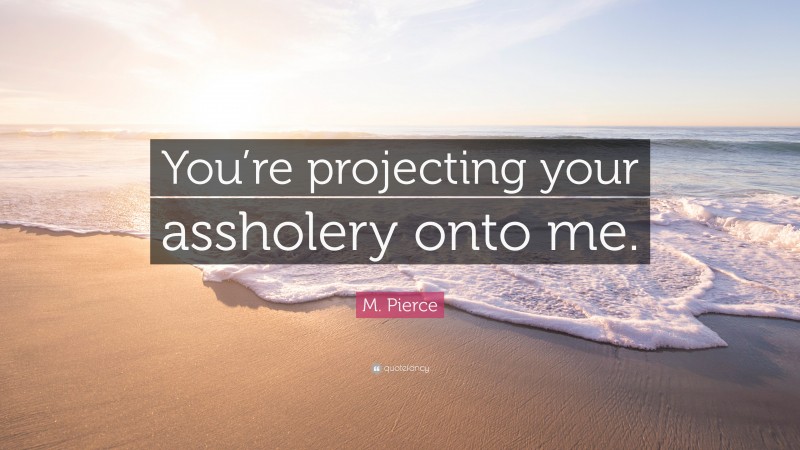 M. Pierce Quote: “You’re projecting your assholery onto me.”