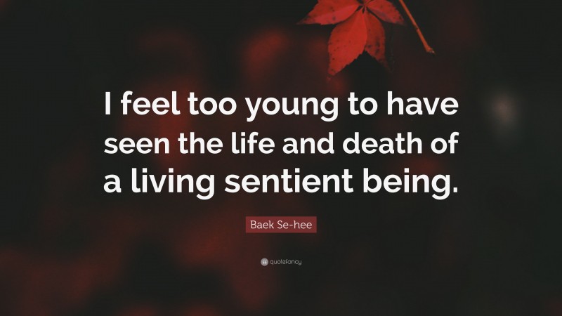 Baek Se-hee Quote: “I feel too young to have seen the life and death of a living sentient being.”