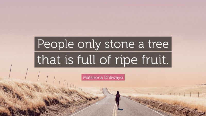 Matshona Dhliwayo Quote: “People only stone a tree that is full of ripe fruit.”