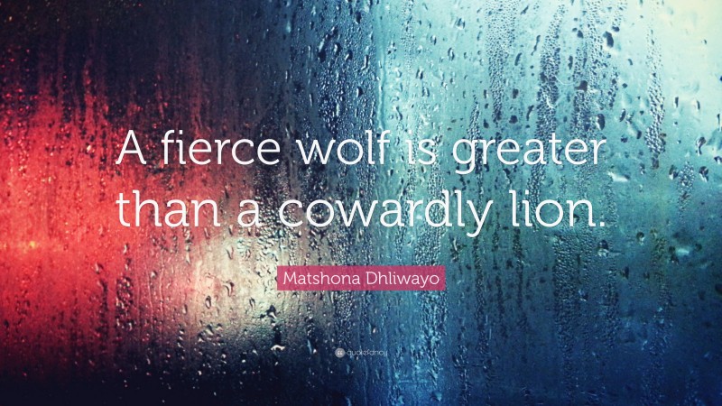 Matshona Dhliwayo Quote: “A fierce wolf is greater than a cowardly lion.”