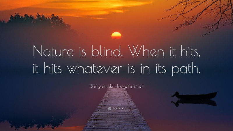 Bangambiki Habyarimana Quote: “Nature is blind. When it hits, it hits whatever is in its path.”