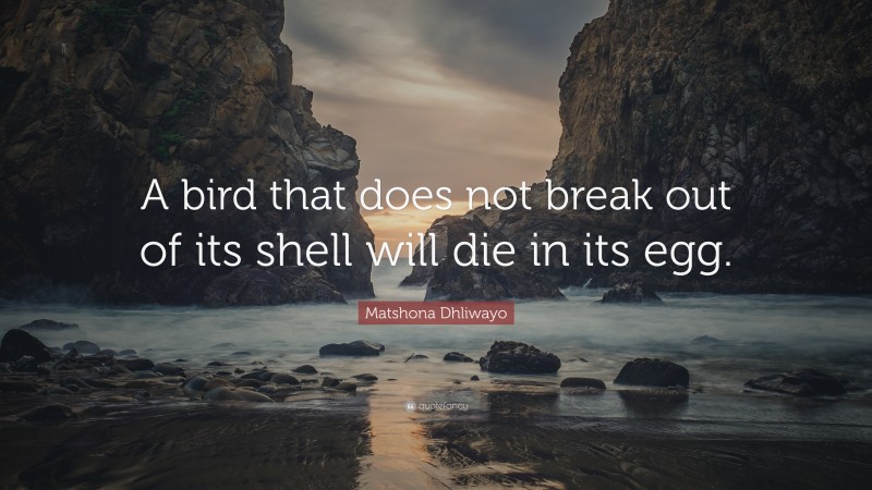 Matshona Dhliwayo Quote: “A bird that does not break out of its shell will die in its egg.”