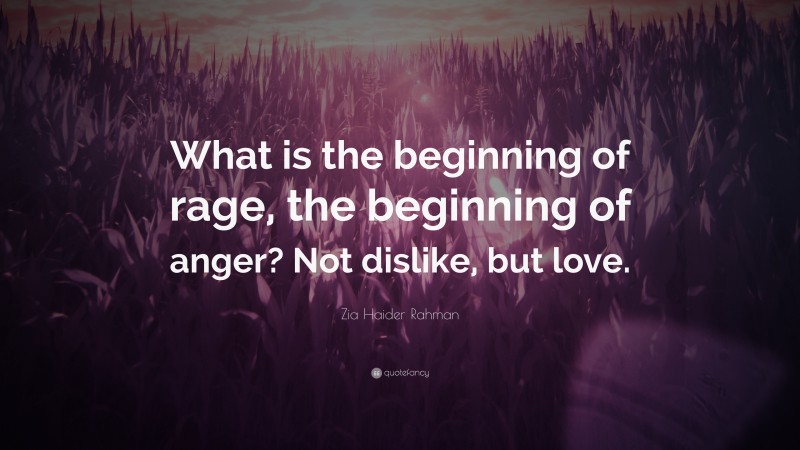 Zia Haider Rahman Quote: “What is the beginning of rage, the beginning of anger? Not dislike, but love.”