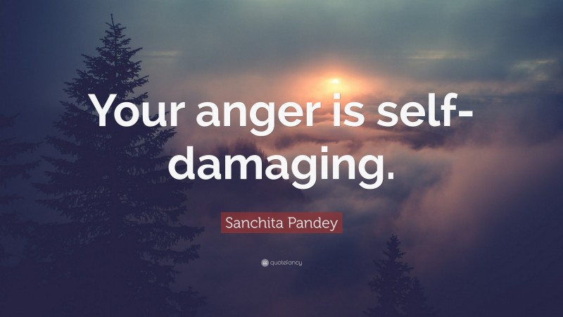 Sanchita Pandey Quote: “Your anger is self-damaging.”