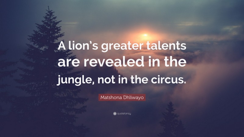 Matshona Dhliwayo Quote: “A lion’s greater talents are revealed in the jungle, not in the circus.”