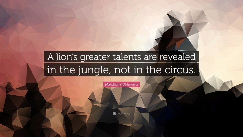 Matshona Dhliwayo Quote: “A lion’s greater talents are revealed in the jungle, not in the circus.”