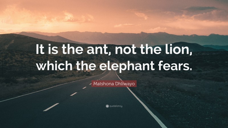 Matshona Dhliwayo Quote: “It is the ant, not the lion, which the elephant fears.”