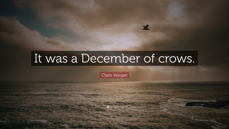 Claire Keegan Quote: “It was a December of crows.”