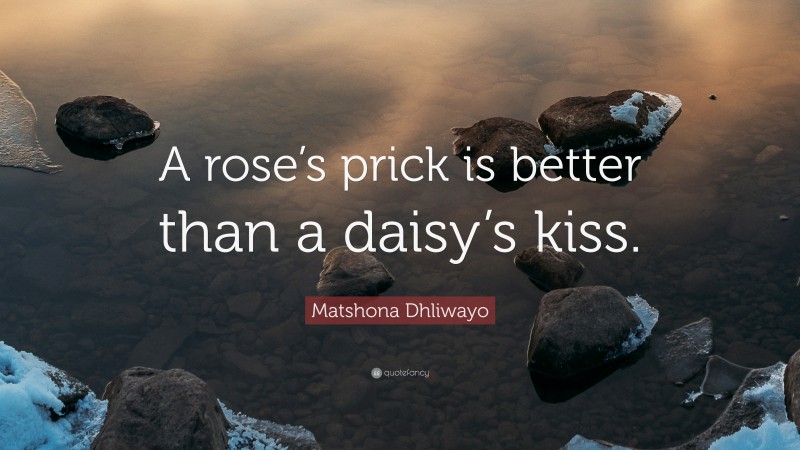 Matshona Dhliwayo Quote: “A rose’s prick is better than a daisy’s kiss.”