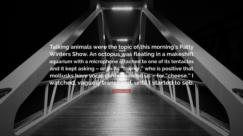 Bret Easton Ellis Quote: “Talking animals were the topic of this morning’s Patty Winters Show. An octopus was floating in a makeshift aquarium with a microphone attached to one of its tentacles and it kept asking – or so its “trainer,” who is positive that mollusks have vocal cords, assured us – for “cheese.” I watched, vaguely transfixed, until I started to sob.”
