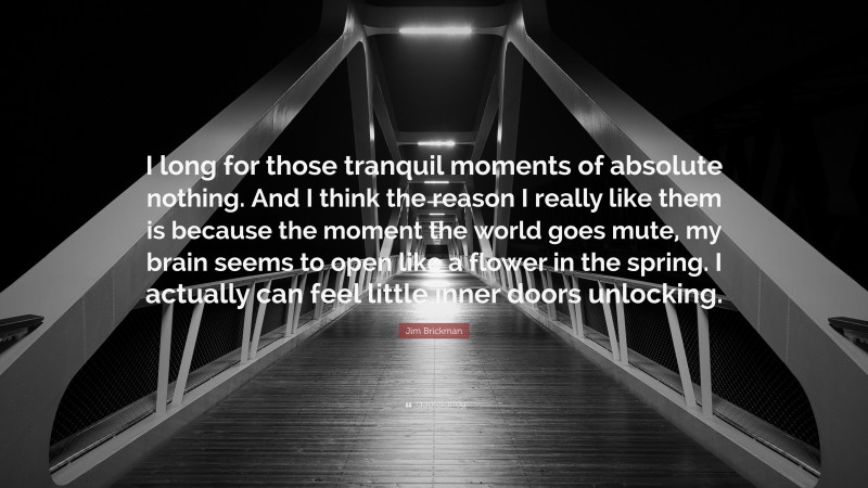 Jim Brickman Quote: “I long for those tranquil moments of absolute nothing. And I think the reason I really like them is because the moment the world goes mute, my brain seems to open like a flower in the spring. I actually can feel little inner doors unlocking.”