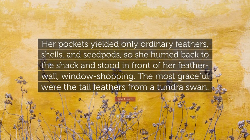 Delia Owens Quote: “Her pockets yielded only ordinary feathers, shells, and seedpods, so she hurried back to the shack and stood in front of her feather-wall, window-shopping. The most graceful were the tail feathers from a tundra swan.”