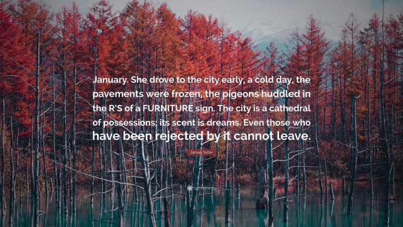 James Salter Quote: “January. She drove to the city early, a cold day, the pavements were frozen, the pigeons huddled in the R’S of a FURNITURE sign. The city is a cathedral of possessions; its scent is dreams. Even those who have been rejected by it cannot leave.”