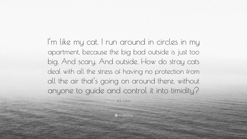 Will Advise Quote: “I’m like my cat. I run around in circles in my apartment, because the big bad outside is just too big. And scary. And outside. How do stray cats deal with all the stress of having no protection from all the air that’s going on around there, without anyone to guide and control it into timidity?”