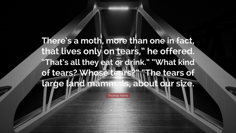 Thomas Harris Quote: “There’s a moth, more than one in fact, that lives only on tears,” he offered. “That’s all they eat or drink.” “What kind of tears? Whose tears?” “The tears of large land mammals, about our size.”