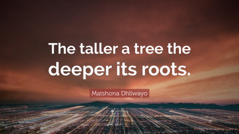 Matshona Dhliwayo Quote: “The taller a tree the deeper its roots.”