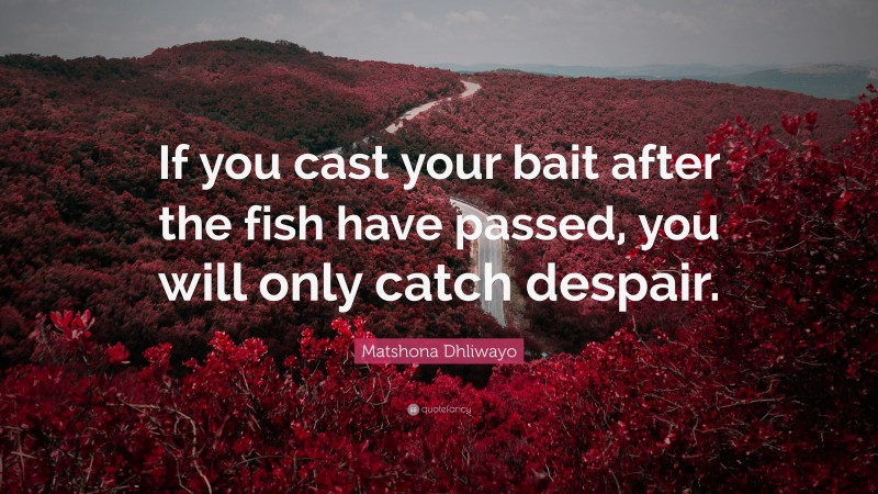 Matshona Dhliwayo Quote: “If you cast your bait after the fish have passed, you will only catch despair.”