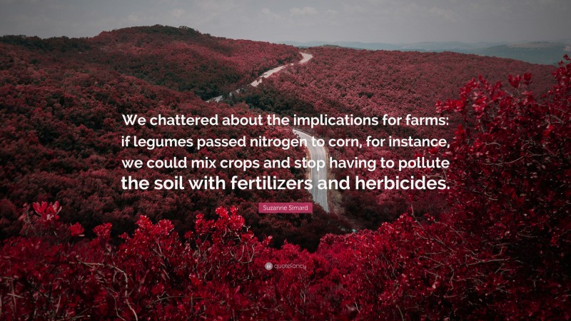 Suzanne Simard Quote: “We chattered about the implications for farms: if legumes passed nitrogen to corn, for instance, we could mix crops and stop having to pollute the soil with fertilizers and herbicides.”