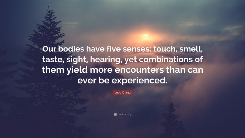 Lebo Grand Quote: “Our bodies have five senses: touch, smell, taste, sight, hearing, yet combinations of them yield more encounters than can ever be experienced.”