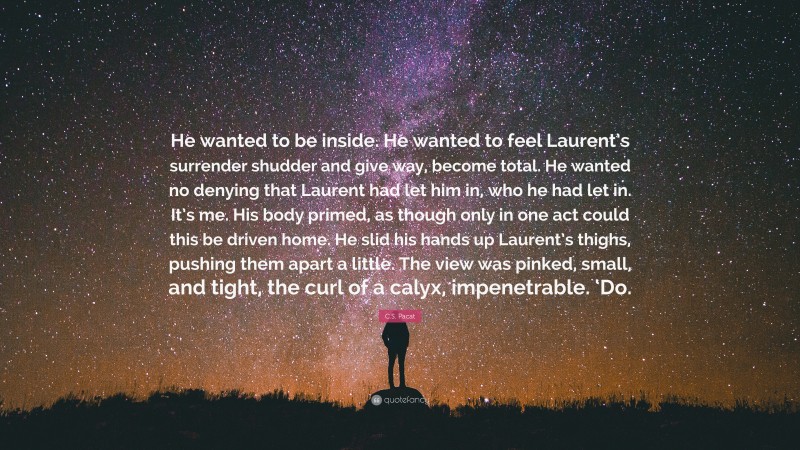 C.S. Pacat Quote: “He wanted to be inside. He wanted to feel Laurent’s surrender shudder and give way, become total. He wanted no denying that Laurent had let him in, who he had let in. It’s me. His body primed, as though only in one act could this be driven home. He slid his hands up Laurent’s thighs, pushing them apart a little. The view was pinked, small, and tight, the curl of a calyx, impenetrable. ‘Do.”