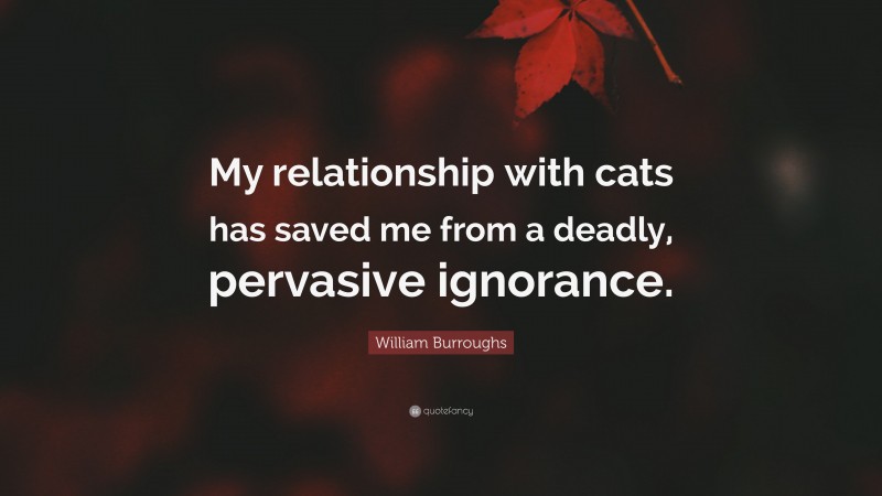 William Burroughs Quote: “My relationship with cats has saved me from a deadly, pervasive ignorance.”