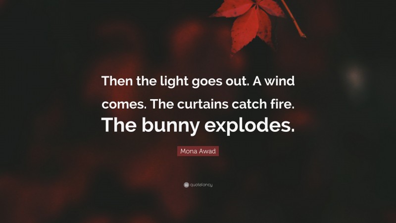 Mona Awad Quote: “Then the light goes out. A wind comes. The curtains catch fire. The bunny explodes.”