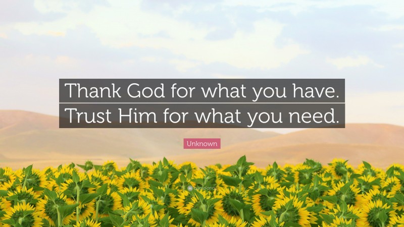 Unknown Quote: “Thank God for what you have. Trust Him for what you need.”