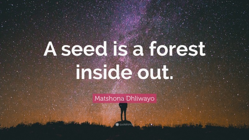 Matshona Dhliwayo Quote: “A seed is a forest inside out.”
