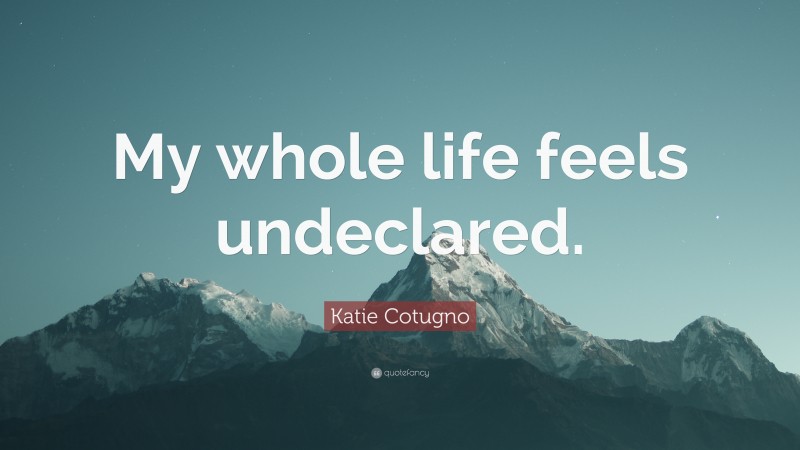 Katie Cotugno Quote: “My whole life feels undeclared.”