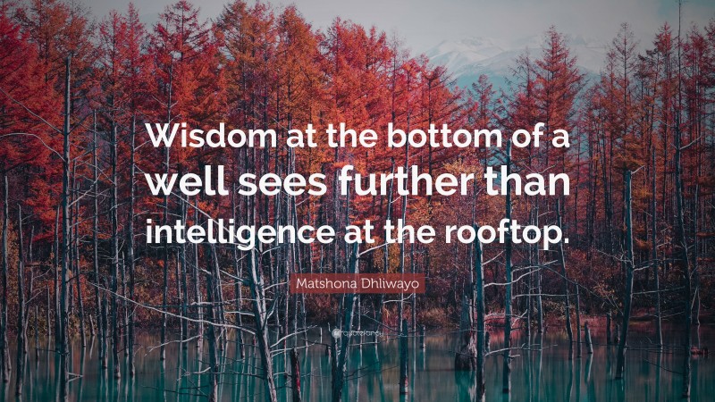 Matshona Dhliwayo Quote: “Wisdom at the bottom of a well sees further than intelligence at the rooftop.”