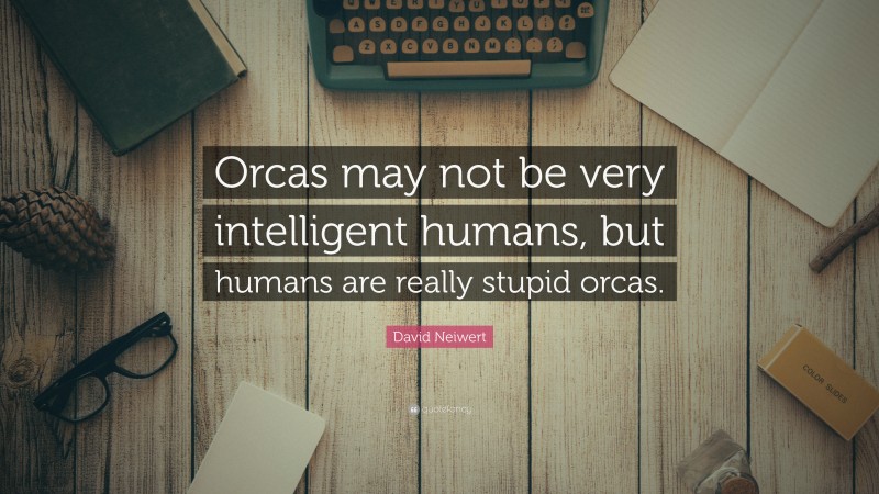 David Neiwert Quote: “Orcas may not be very intelligent humans, but humans are really stupid orcas.”