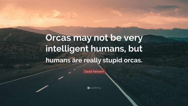 David Neiwert Quote: “Orcas may not be very intelligent humans, but humans are really stupid orcas.”