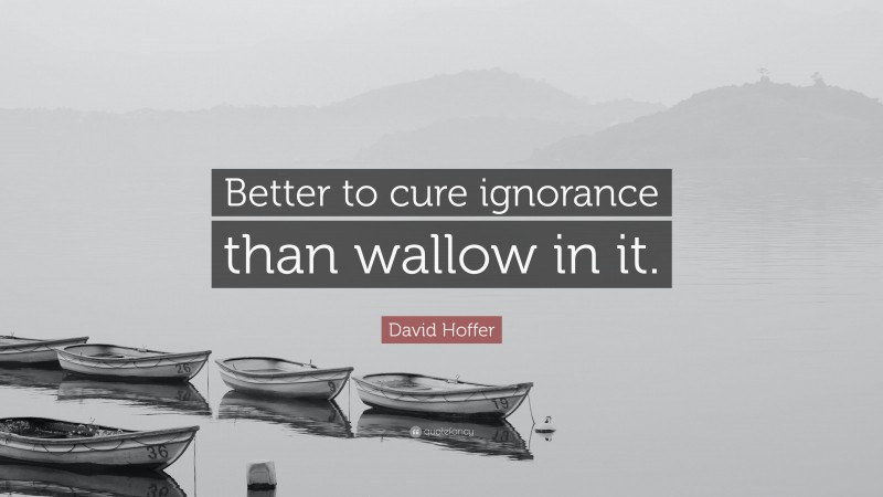 David Hoffer Quote: “Better to cure ignorance than wallow in it.”