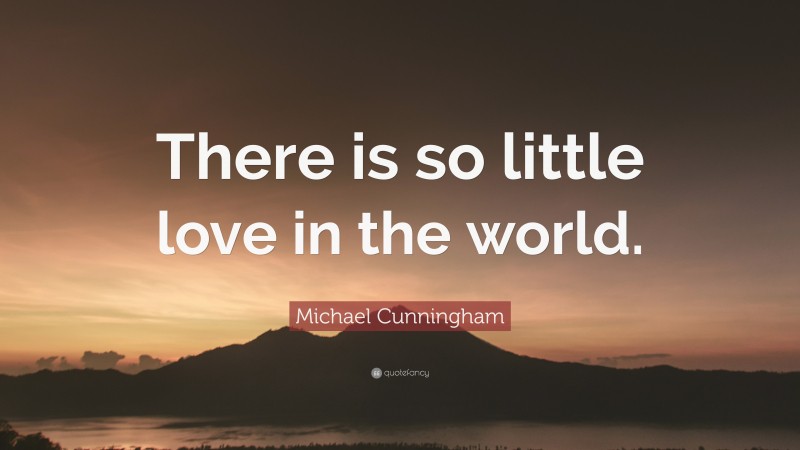 Michael Cunningham Quote: “There is so little love in the world.”