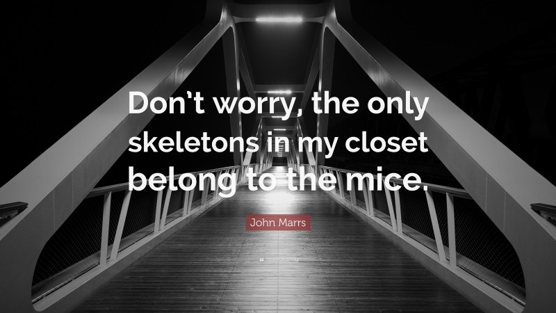 John Marrs Quote: “Don’t worry, the only skeletons in my closet belong to the mice.”