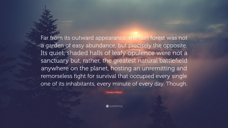 Candice Millard Quote: “Far from its outward appearance, the rain forest was not a garden of easy abundance, but precisely the opposite. Its quiet, shaded halls of leafy opulence were not a sanctuary but, rather, the greatest natural battlefield anywhere on the planet, hosting an unremitting and remorseless fight for survival that occupied every single one of its inhabitants, every minute of every day. Though.”