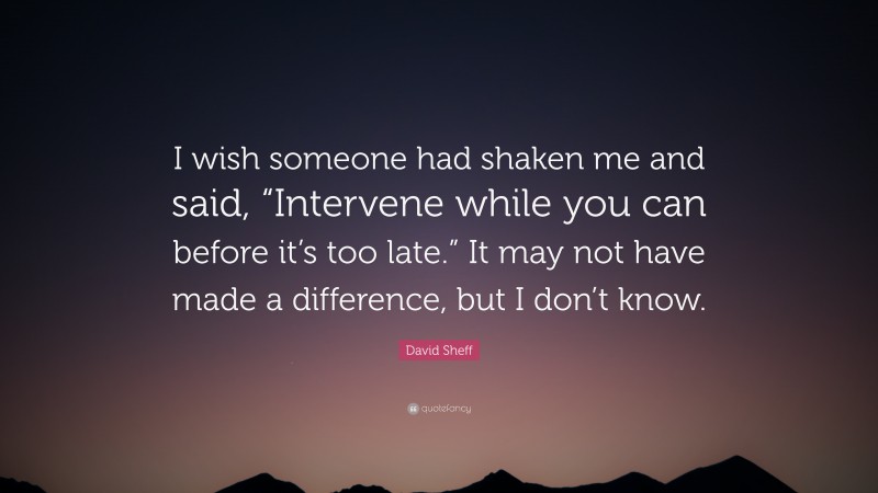 David Sheff Quote: “I wish someone had shaken me and said, “Intervene while you can before it’s too late.” It may not have made a difference, but I don’t know.”