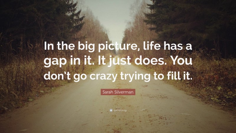 Sarah Silverman Quote: “In the big picture, life has a gap in it. It just does. You don’t go crazy trying to fill it.”