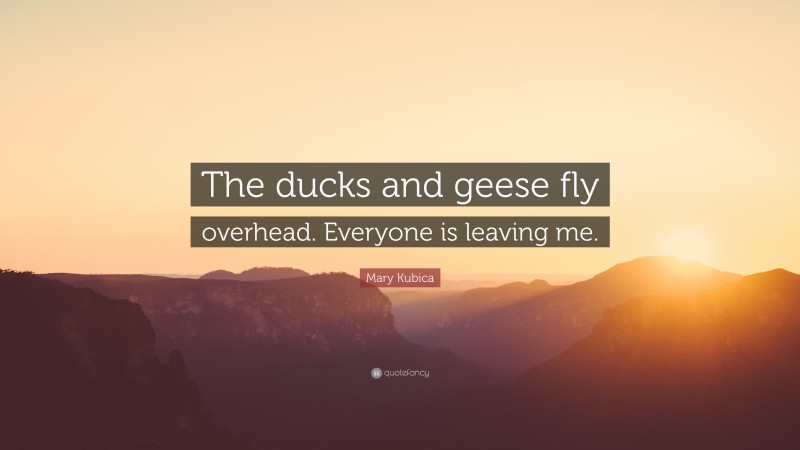 Mary Kubica Quote: “The ducks and geese fly overhead. Everyone is leaving me.”