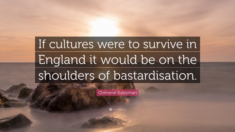 Chimene Suleyman Quote: “If cultures were to survive in England it would be on the shoulders of bastardisation.”