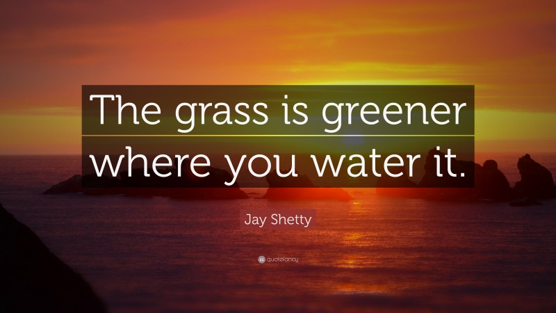 Jay Shetty Quote: “The grass is greener where you water it.”