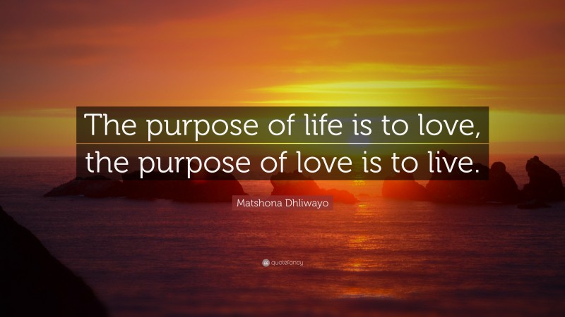 Matshona Dhliwayo Quote: “The purpose of life is to love, the purpose ...