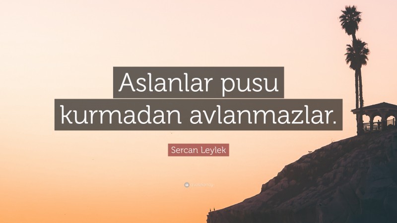 Sercan Leylek Quote: “Aslanlar pusu kurmadan avlanmazlar.”