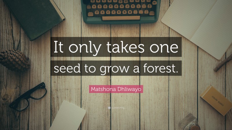 Matshona Dhliwayo Quote: “It only takes one seed to grow a forest.”