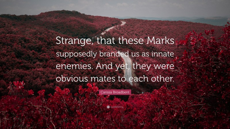 Carissa Broadbent Quote: “Strange, that these Marks supposedly branded us as innate enemies. And yet, they were obvious mates to each other.”