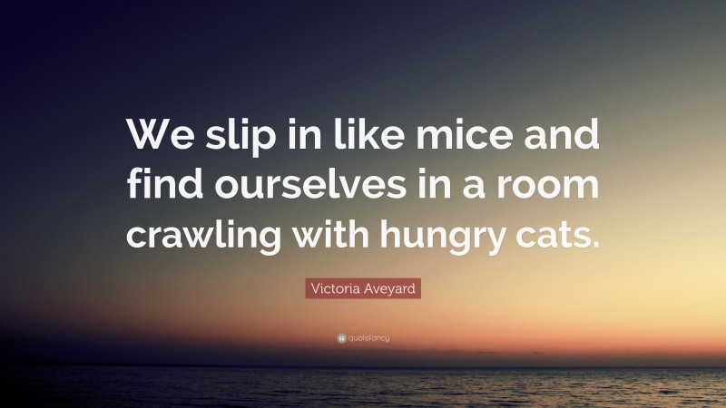 Victoria Aveyard Quote: “We slip in like mice and find ourselves in a room crawling with hungry cats.”