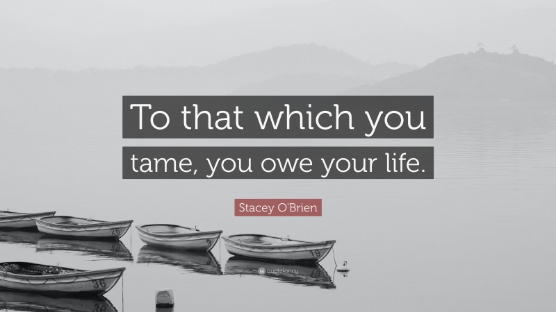 Stacey O'Brien Quote: “To that which you tame, you owe your life.”